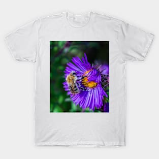 Bee 17 T-Shirt